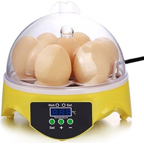 7 Eggs Chicken Bird Incubator Eggs Rack Tray Hatching Machine Automatic Intelligent Temperature Control Quail Parrot Home Tool