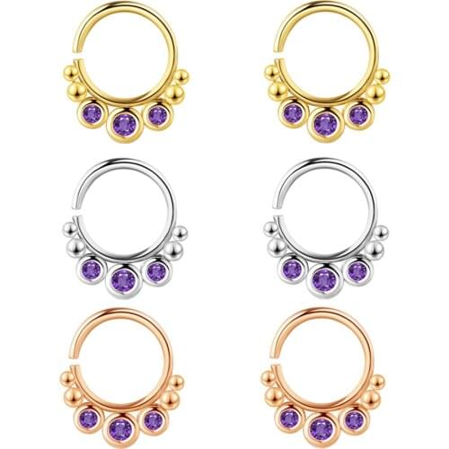 Wholesales Septum Piercing Clicker Ring Hinged Nose Rings Hoop Cartilage Tragus Earrings Daith Ear Jewelry Piercings