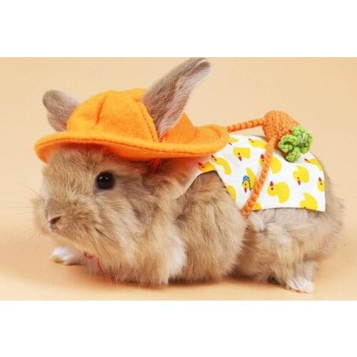 Bunny Clothes Leash Set Pet Rabbit Costume Guinea Pig Lop-eared Rabbit Jewelry Hat Leash Outdoor Cloth
