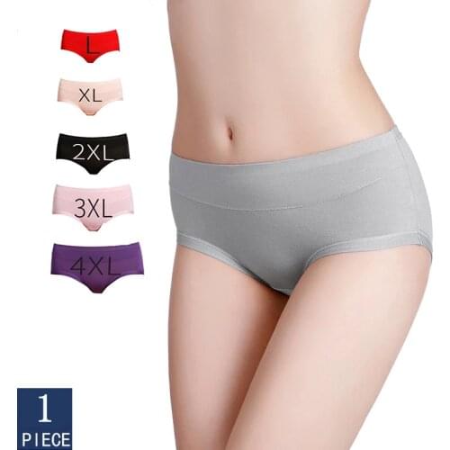 Sexy Seamless Panties Plus Size For Women Sexy Underwear Womens Briefs Mid-rise Panties Women Plus Size Women XXL XXXXL