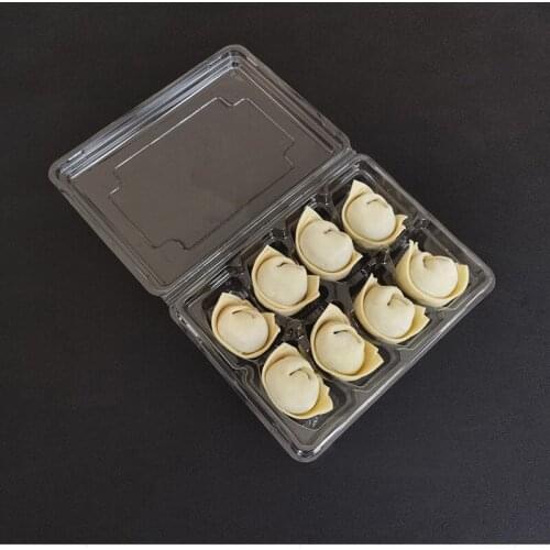 50pcs Disposable Dumpling Box Takeout Package Box Clear Plastic Dumpling Container Cover 8 Frozen Wonton Boxes
