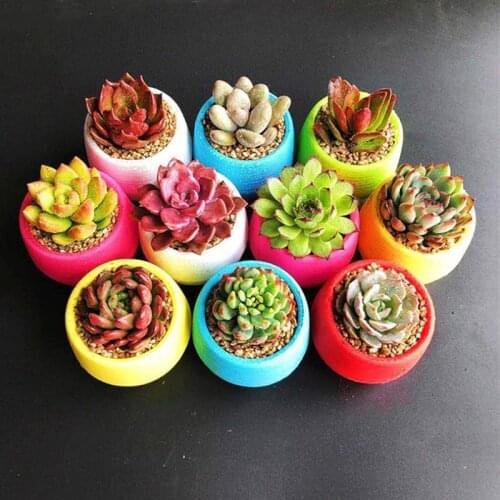 5Pcs Mini Round Flower Pots Plastic Flowerpot Nursery Flower Pot Bonsai Planter Nursery Home Decor