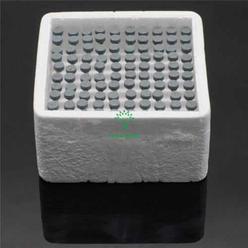 Dentista 100PCs 2.35mm Assorted Gravel thick Mounted Point Burs Polisher Gray