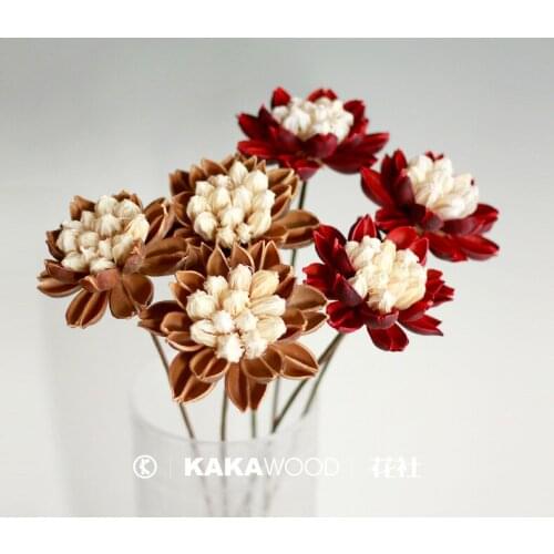 Kakawood Home Soft Decorations Natural Plant Dried Flowers Dried Fruit Design Floral Polinas Flower