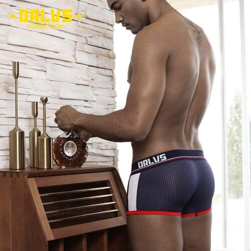 Men Underwear Gay Boxer Mesh Boxers Breathable Man Cueca Male Panties Gay Boxershort Mens Clothing Homme Underpants OR193