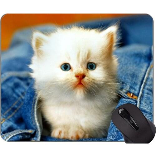 Mouse Pad with Stitched Edge,Jeans Kitten animal cat white Home Office Computer Accessories Mousepads