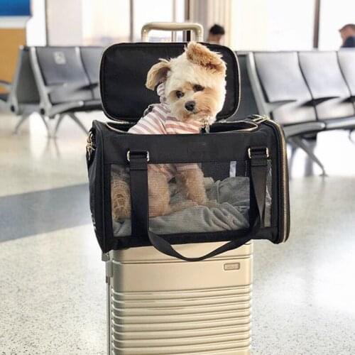 Pet Carrier Bags Backpack Portable Messenger Popeye Outgoing Travel Handbag Cat Dog Puppy Packet Breathable Mesh Small Pet