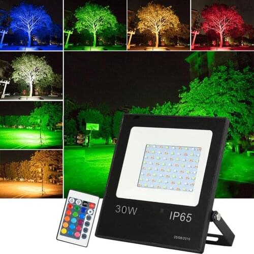 RGB Floodlight 30W Colorful Remote Control Projection Light Waterproof Park Lawn Light IP65 Warm White/white Courtyard Lamp New