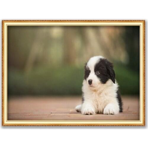 Animal Dog Dachshund DIY Cross Stitch 11CT Embroidery Kits Craft Needlework Set Printed Canvas Cotton Thread Decoration Hot Sell