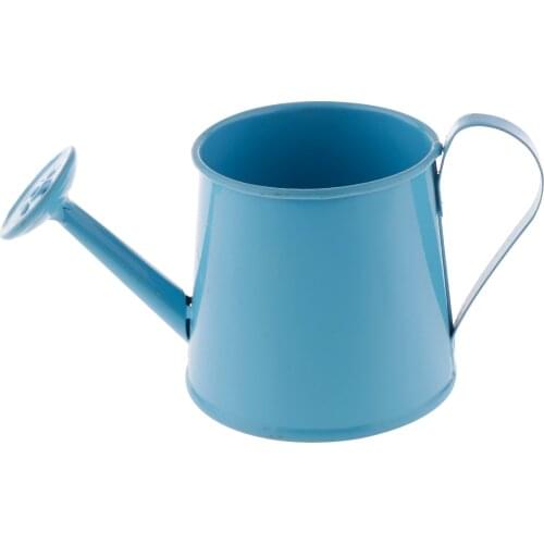 Garden Metal Flower Kettle Mini Small Water Spraying Pot Watering Can Decor