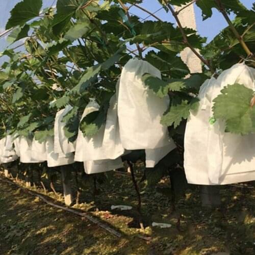100Pcs Grape Protection Bags for Fruit Vegetable Grapes Mesh Bag Against Waterproof Insect Seedling Bagging