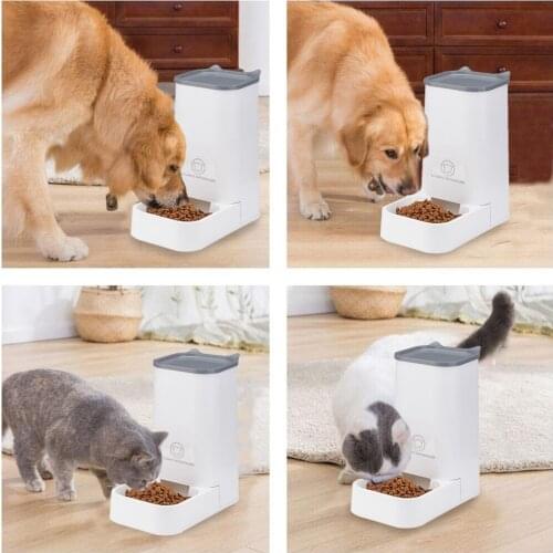 Pets Automatic Feeder Set Drinking Water Dispenser and Food Feeder Gravity Feeder for Cats Dogs Kitten Puppy
