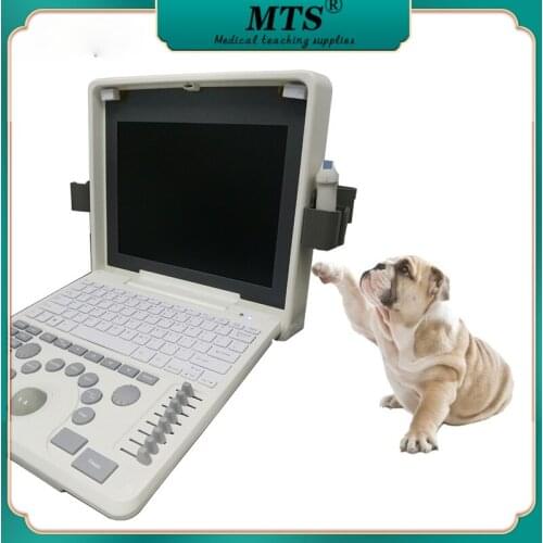 Veterinary equipment Vet Ultrasound Scanner Portable Digital Laptop Ultrasound Imaging System Pet clinic ultrasound equipment