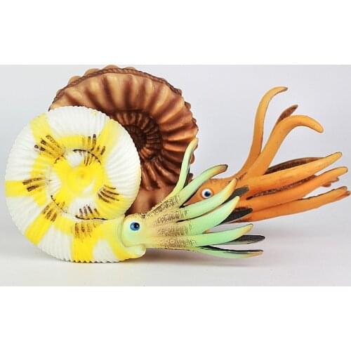 1 pcs sealife oceanarium wild animals Mollusk Nautilus Marine organism figurine figure kids educational toys for children