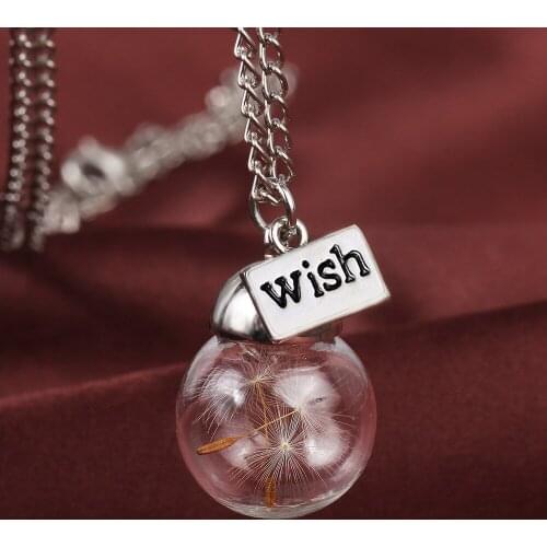 Hope The Dandelion Eternal Life Dried Flower Seeds The Glass Plant Specimens Pendant Sweater Necklace for Women Free Shipping