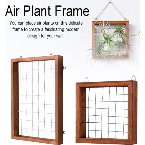Air Plants Frame Wall Holder Air Plants Hanger Wall Display Flower Shelf Planter Basket With Hanging Hooks For Garden Home Decor
