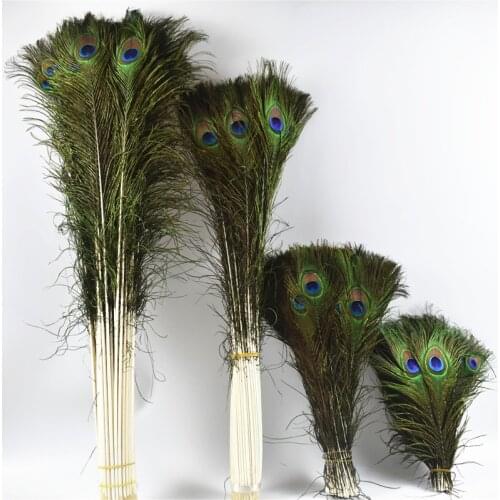 50Pcs/Lot Natural Real Peacock Feathers for Crafts Long Feathers Peacock Feather Peacock Jewelry Peacock Decor Plumas Carnaval