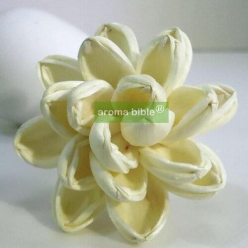 1000 pcs /lot Handmade sola wood flowers for fragrance diffuser and home decor with 12cm Rope or rattan reed sticks Top quality