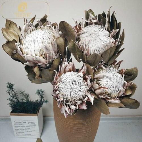 Natural Dried Flowers Emperor Flower Real Floral Dried Branch Wedding Decoration Accessories for Home Garden Shop Hotel Decor