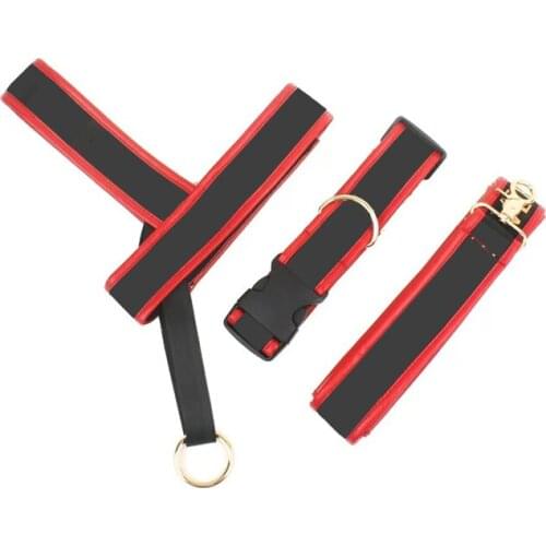 Dog accessories dog collar pet dog harness dog leash dog supplies cat accessories pet accessories pets french bulldog 11-19