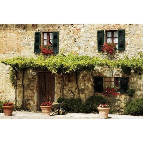 Spring Vintage House Building Brick Wall Baby Portrait Photography Backdrop Vinyl Photographic Background For Photo Studio Shoot