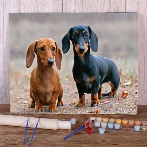 Animal Dachshund DIY Painting By Numbers Package Oil Paints 40*50 Boards By Numbers Home Decor For Handicraft