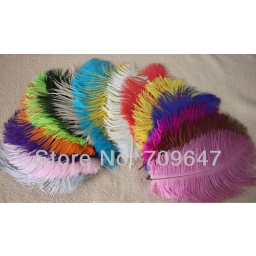 Feathers for Crafts! 200Pcs/Lot 10-12inch 25-30cm dyeing OSTRICH FEATHERS 14colors Available,plumas decorativas