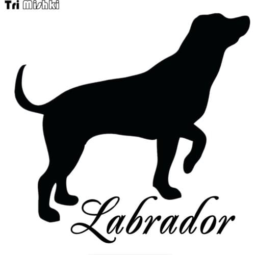 Tri Mishki HZX430 15*15.4cm labrador on board car sticker funny auto car stickers