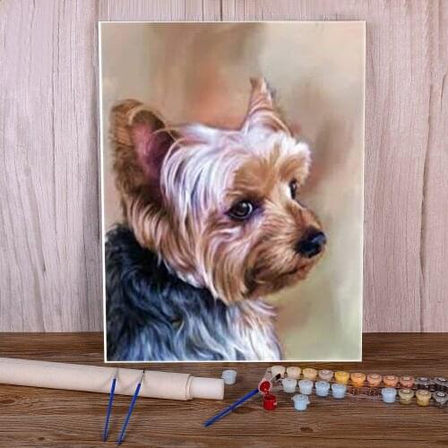 Animal Yorkshire Terrier Painting By Numbers Kit Acrylic Paints 50*70 Paiting By Numbers Home Decor For Children Art