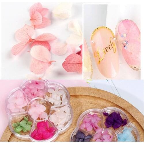 35pcs 6 colors 3D Charm Dried Flowers Nail Art Decoration Manicure Natural Floral Sticker Pressed Dried Flowers Press-On Nail
