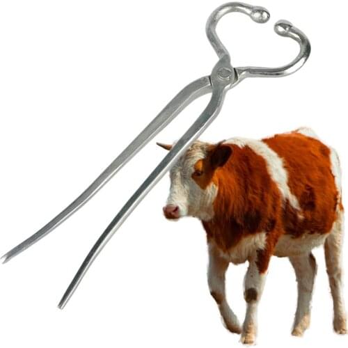 Bull Nose Piercing Device Cow Nose Ring Carrying Pliers Stainless Steel Cow Nose Fixed Tool Cattle Nose Plier Livestock Supplies