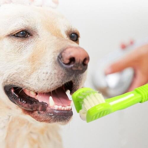 Pet Toothbrush Kit Cleaning Three Sided Multi-angle Teeth Plastic Dog Soft Bristle Tartars Removal Toothbrushes for Oral Care