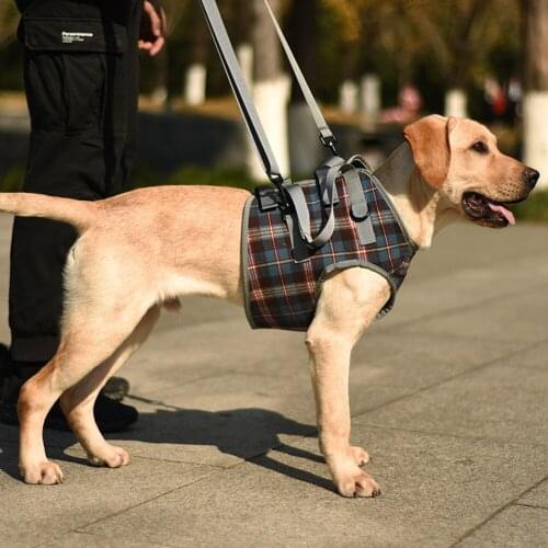 Winnereco Collars, Harnesses And Leashes