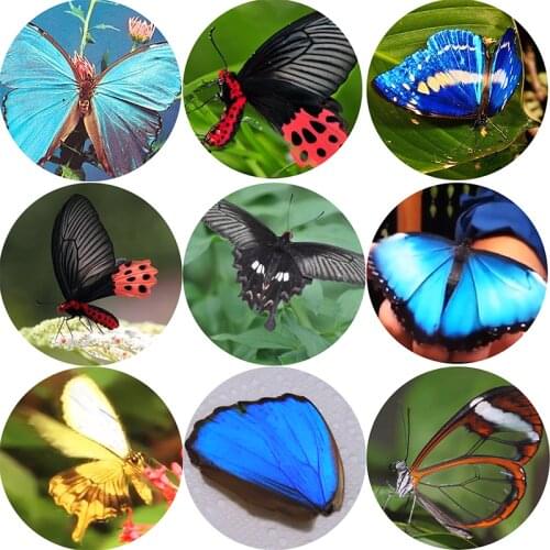 Glass butterfly cabochons Round 6MM-30MM Round Dome Dragon Eye Dragon Cat Eye Toys DIY Jewelry Accessory MIX Pupil Eye Cameo