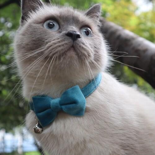 HEONYIRRY Collars For Cats
