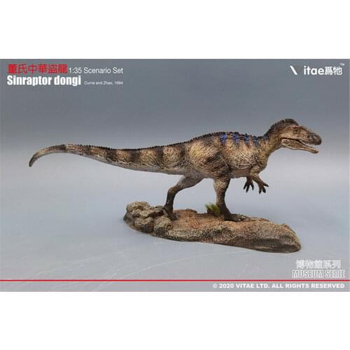 Vitae 1/35 Sinraptor dongi Statue Theropoda With Base Dinosaur Animal Collector Kids Adults Birthday Toys Gift Home Decor