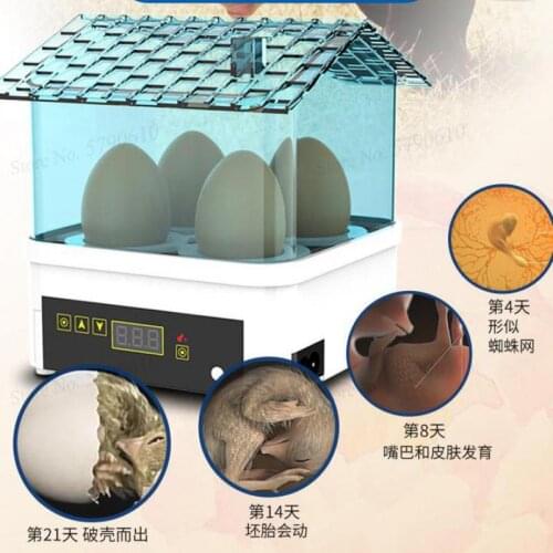 Incubator Incubator Intelligent Small Water Bed Egg Incubator Mini Household Automatic Chick Duck Goose Incubator