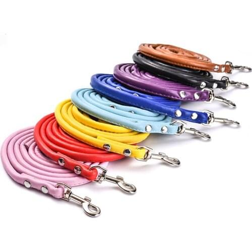 Dog Leash Correa Perro Pop It Fashion Multicolor Natural PU Round Rope Small And Medium Sized Dog Chain Pet Accessories
