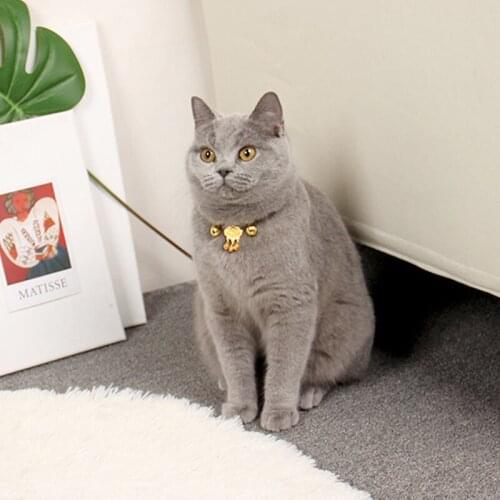 Pet Cat Collar with Bell Lock Cat Neck Strap Teddy Puppy Neck Leash Walking Traction Rope Good Fortune Neck Collar Lightweight