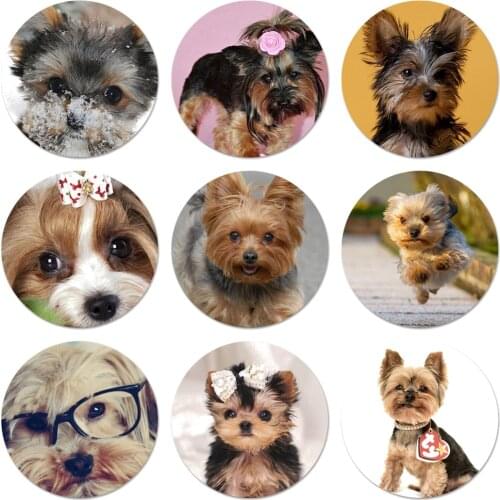 58mm Yorkshire terrier dog Icons Pins Badge Decoration Brooches Metal Badges For Backpack Decoration