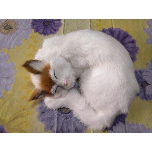 New simulation sleeping yellow head cat polyethylene & fur lovely cat model gift about 24x24cm158