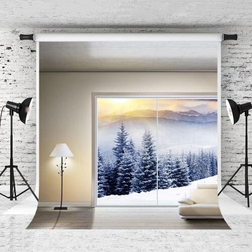 VinylBDS Indoor Winter Photography Backgrounds 10x10ft Snow Tree Camera Fotografica Profissional Window Washable Photo Backdrop