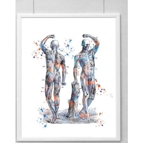 Human Body color splash print, human body poster, human body splash, human body wall art, human body anatomy art, human body spl