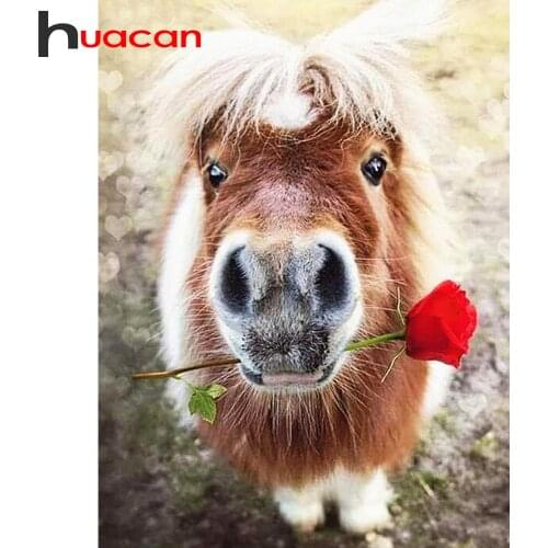 Huacan New Full Square&Round Diamond Painting Horse 5d DIY Diamond Embroidery Decoration Home Art