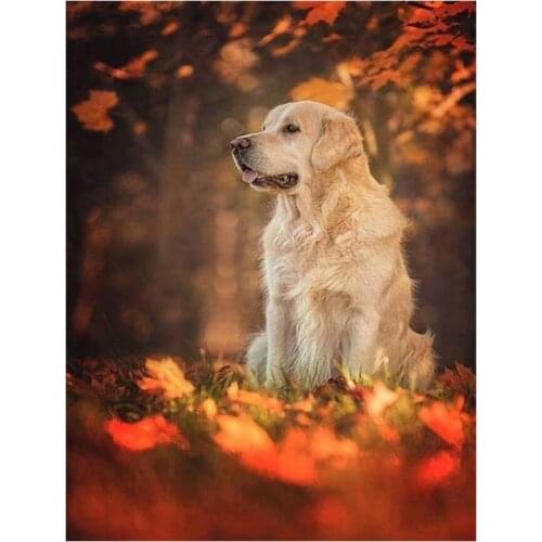 5D Diy Diamond Painting Dog Cross Stitch Full Diamond Embroidery Golden Retriever Diamond Mosaic Handmade Decor Picture TY145