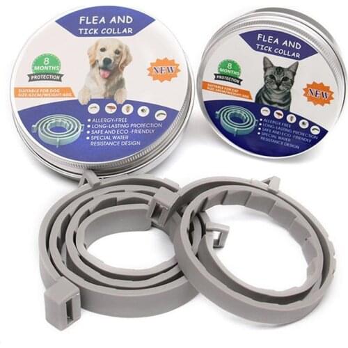 Ошейники для кошек Misterolina China At AliExpress