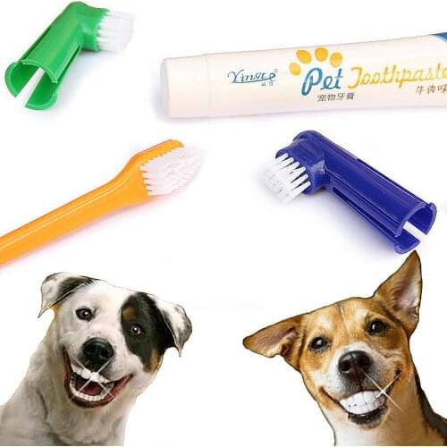 Pet Dog Cat Toothbrush Set Beef Taste Toothpaste Pet Oral Cleaning Products Tooth Clean Toothbrush Brushes Dog Supplies 4Pcs Set