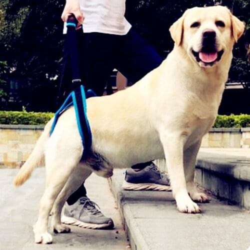 2019 Dog Lift Harness for Back Legs Pet Support Sling Help Weak Legs Stand Up