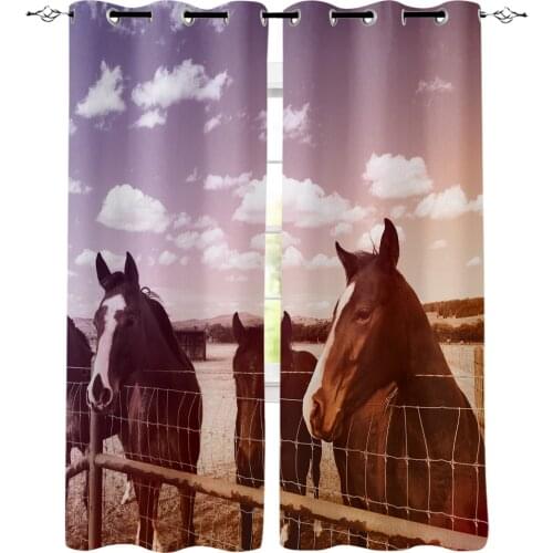 Funny Animals Horse Window Treatments Curtains Valance Curtain Lights Bathroom Bedroom Fabric Kids Window Treatment Valances