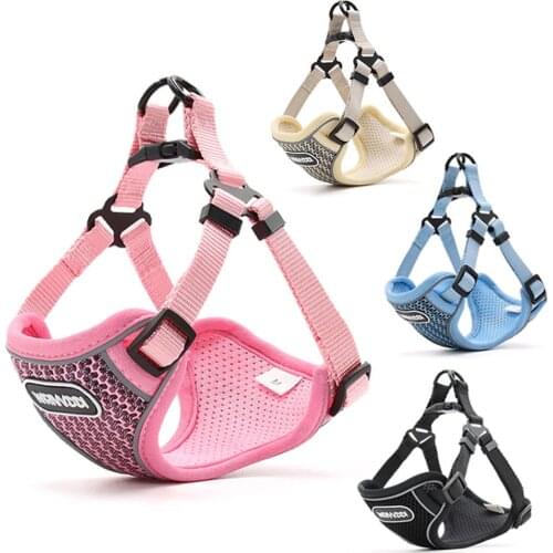 Collars For Cats Dresspet China